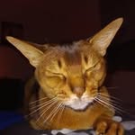 Michael Lazarev - @michael__lazarev - Instagram