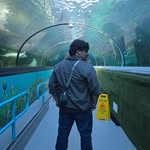 Michael Lazo - @michael._lazo - Instagram
