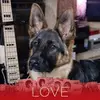 michel.lazzara - @michel.lazzara - TikTok