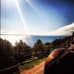 Michael Leadingham - @mikey686 - Instagram