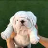 Michael  Lebowitz - @michael.lebowitz - TikTok