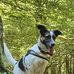 Michael Leder - Facebook