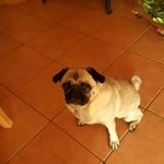 Michael Leder - @leder1703 - Instagram