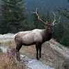 Michael Leduc - @michael.leduc6 - TikTok