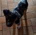 Michel Leduc - Facebook