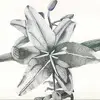 Michael Leeper939 - @michaelleeper939 - TikTok