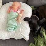 Michael Leer - @gmleer - Instagram