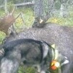 Michael Leffler - @michael.leffler50 - Instagram