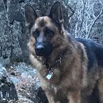 Michael Legler - @avon_barksdale14 - Instagram