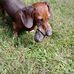 Michael Leichty - Facebook