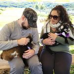 Michael Leidy - @seriousmikee - Instagram