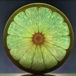 Michael Leistner - @mik3yll - Instagram