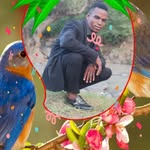 Michael Lema - @michael.lema.9849 - Instagram