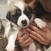 Michael Lema - Facebook