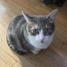 Michel LeMen - Facebook