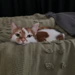 Michael Lemon - @shmick03 - Instagram