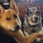 Michael Lengyel - @lengyel4144 - Instagram