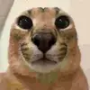 Michael lengyel - @duckguy1000 - TikTok