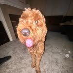 Michael Lenihan - @shane.lenihann - Instagram