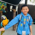 Michael Leow - @michael.leow.1426 - Instagram