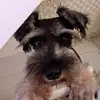 Michael Leow - @michael.leow7 - TikTok