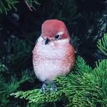 MichaelLeo - @michael.leo.w - Instagram