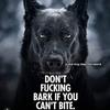 michaelmalesinski - @michaelmalesinski - TikTok