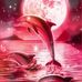 Michael Leupold - Facebook