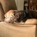 Michael Levey - Facebook