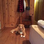Michael Levin - @mlevin66 - Instagram