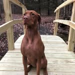 Michael Levins - @levins146 - Instagram