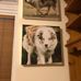 Michael Levitt - Facebook