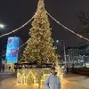 Michael - @michaellevy128 - TikTok