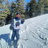 michael levy - @michael.levy15 - TikTok