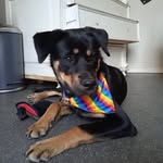 Michael Leys - @moussie2023 - Instagram