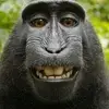 Moussie - @michaelleys95 - TikTok