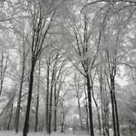 Michael Licata - @mlicata43 - Instagram