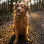 michaelliebmann - @michael_liebmann1 - Instagram