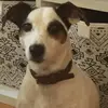 michaelliechti - @michaelliechti - TikTok