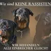 michaellieder817 - @michaellieder817 - TikTok