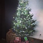 Michael Limmer Christbaumkulturen - @limmer.s_christbaeume - Instagram