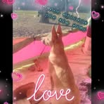 Michael Lindamood - Facebook