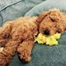Michael Linde - Facebook