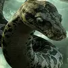Michael Line - @michael.line - TikTok