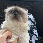 @lintner_michael - Instagram