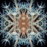 Michel Lippitsch - @michel_lippitsch - Instagram