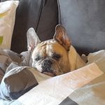 Michael Lippke - @michael.lippke - Instagram
