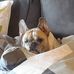 Michael Lippke - Facebook