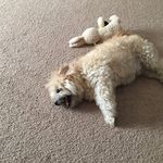 Michael Lippke - @mlippke - Instagram