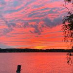 Michael Liscio - @michael_liscio22 - Instagram